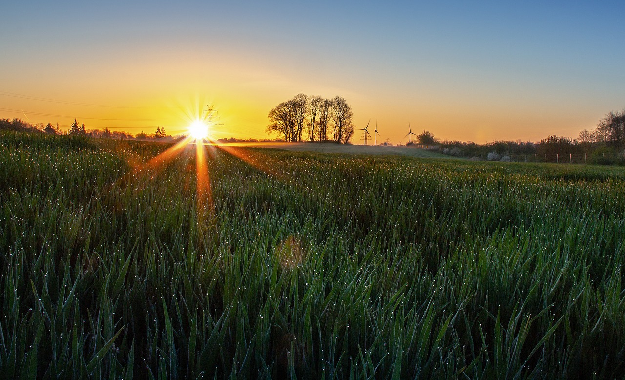 sunrise  mecklenburg  sunset free photo