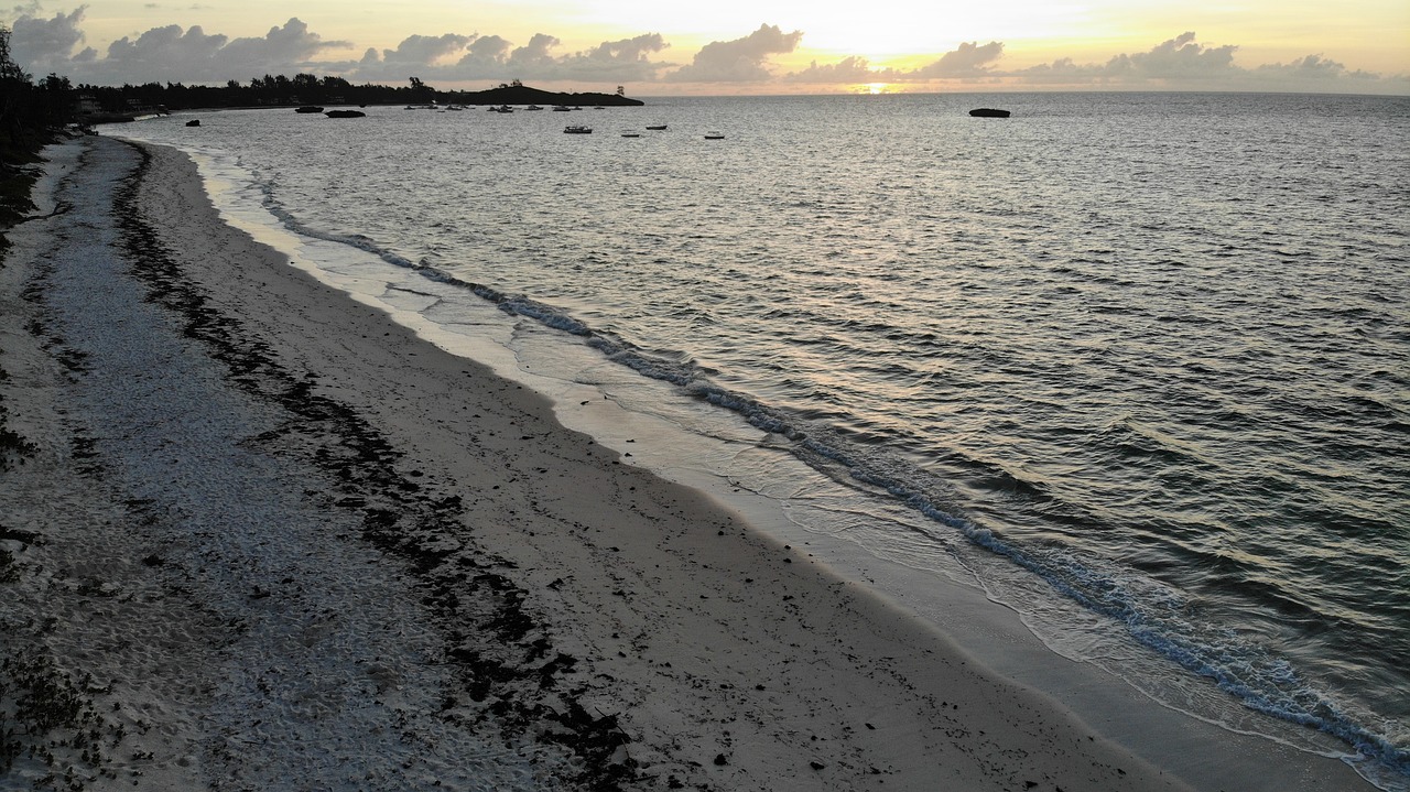 sunrise  beach  ocean free photo