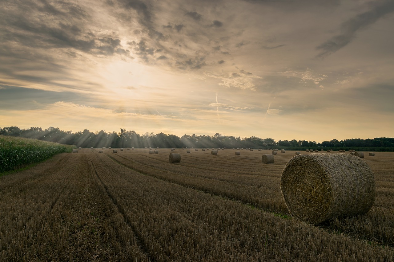 sunrise  sky  landscape free photo