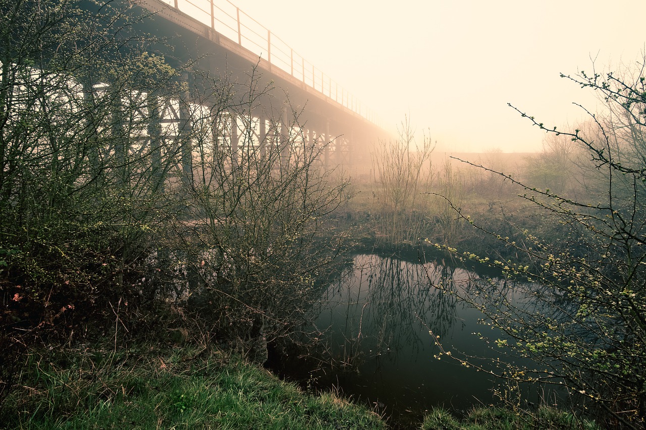 sunrise  bridge  yorkshire free photo