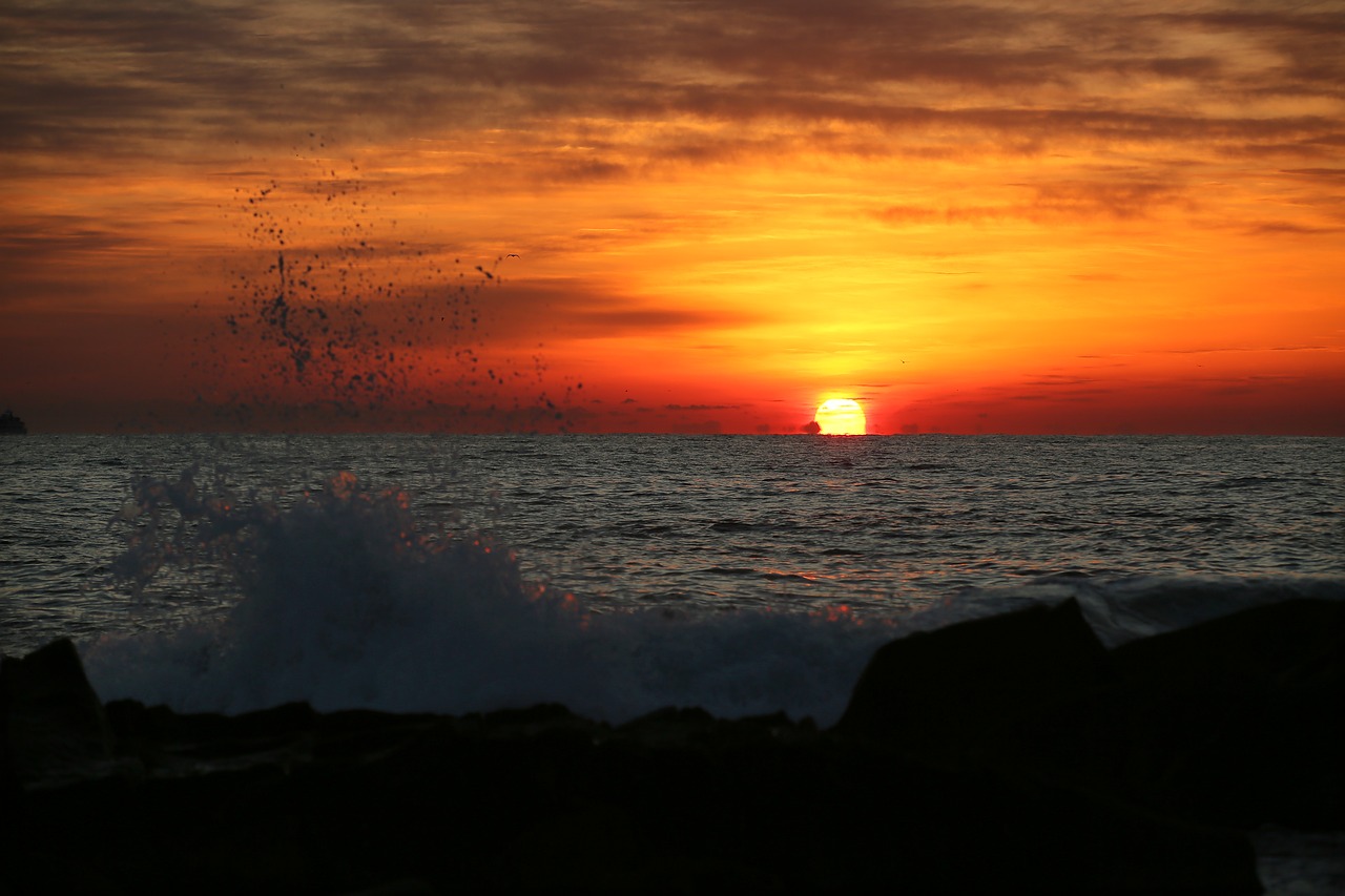 sunrise  sea  omega free photo