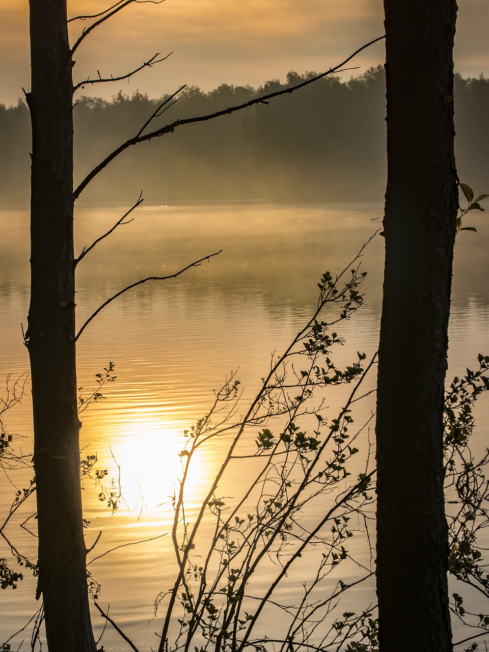 sunrise  lake  water free photo