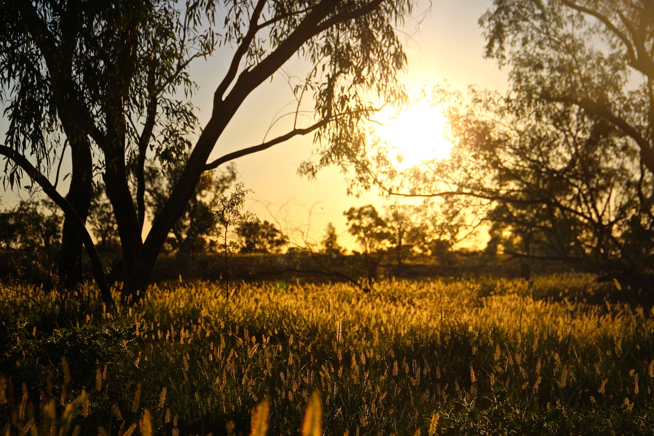 sunrise  outback  queensland free photo