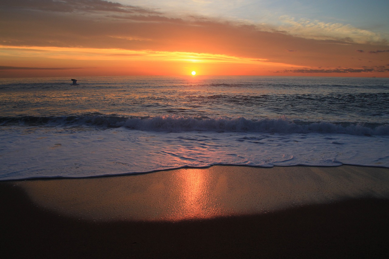 sunrise  ocean  sky free photo