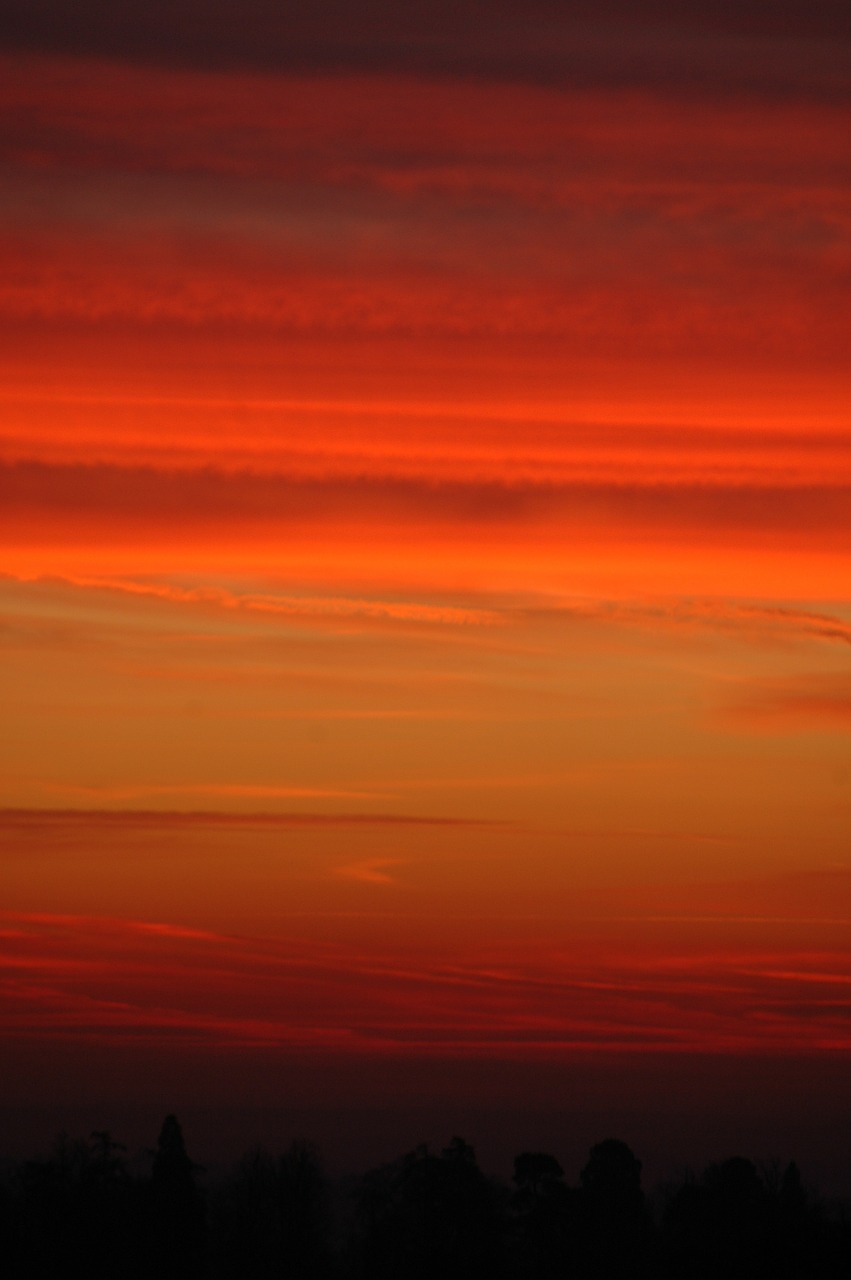 sunrise forest minstead free photo