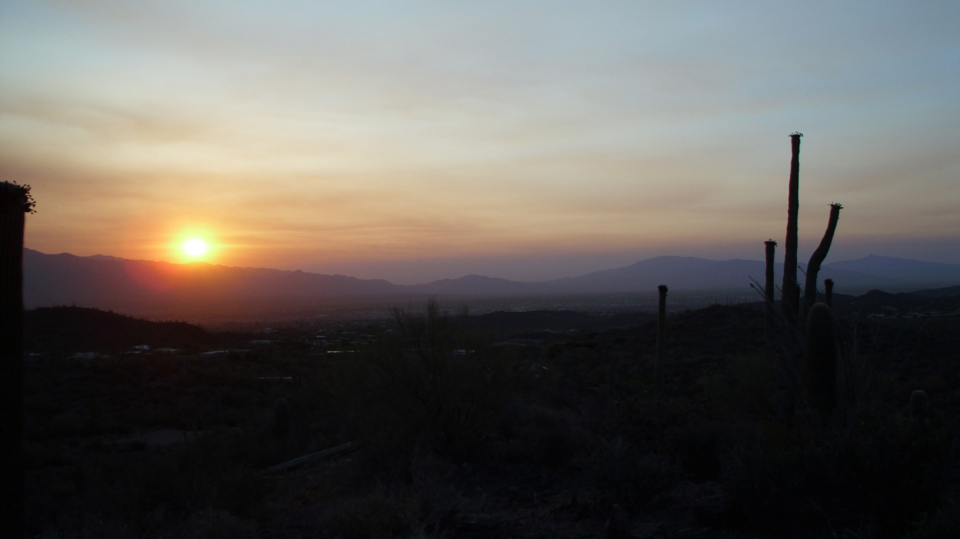 tucson sunrise desert free photo