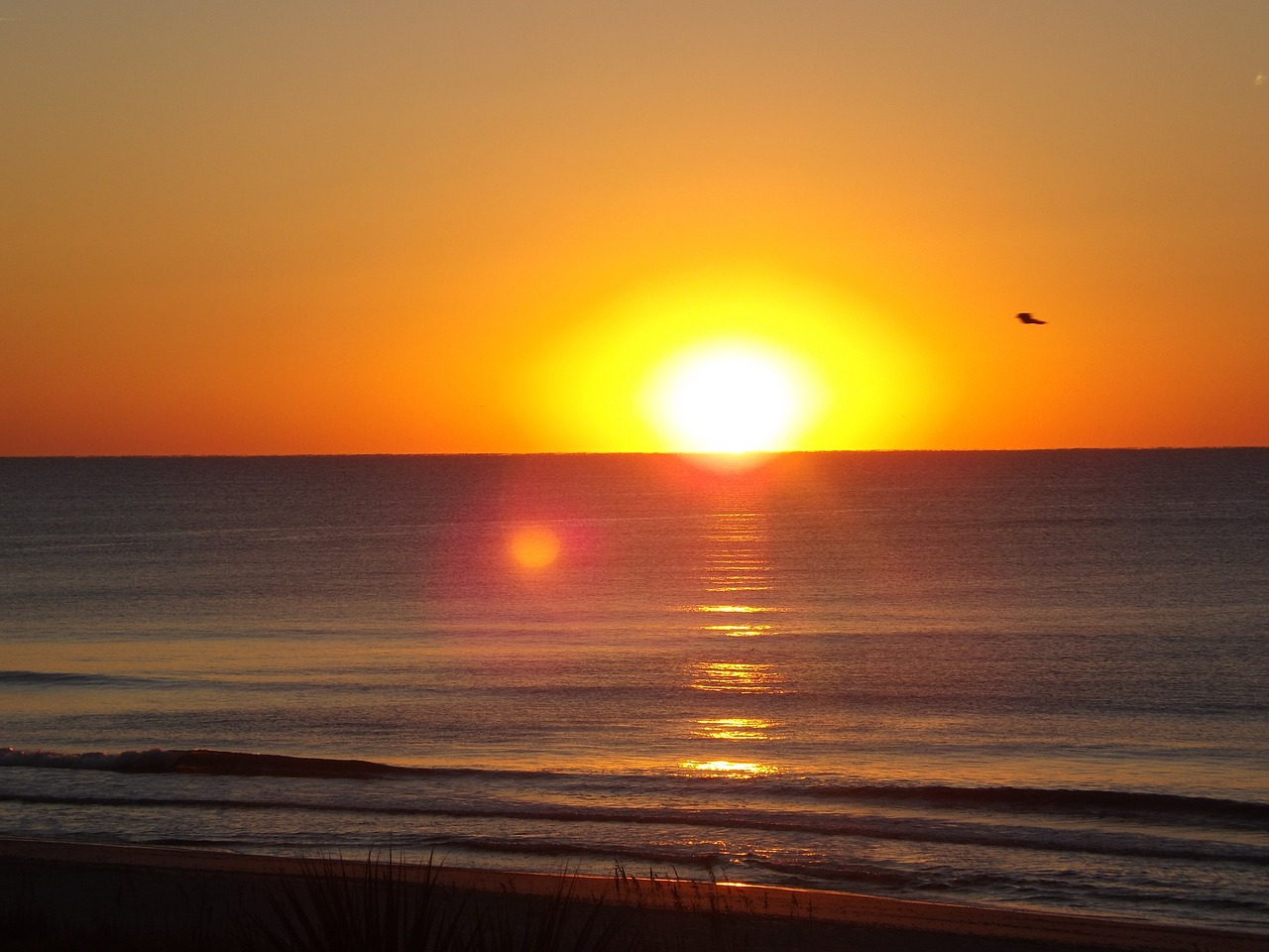 sunrise ocean sea free photo