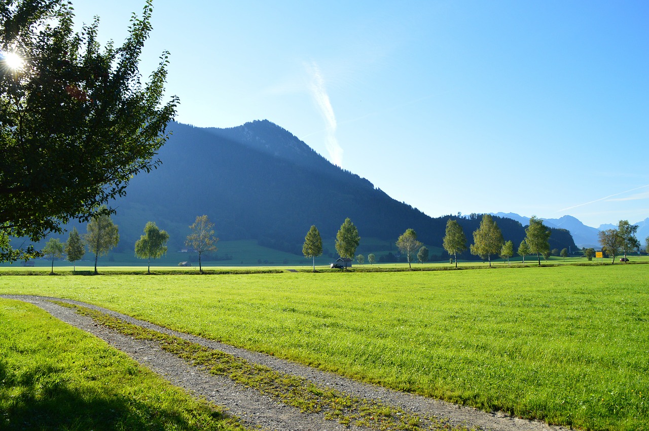 sunrise meadow agriculture free photo