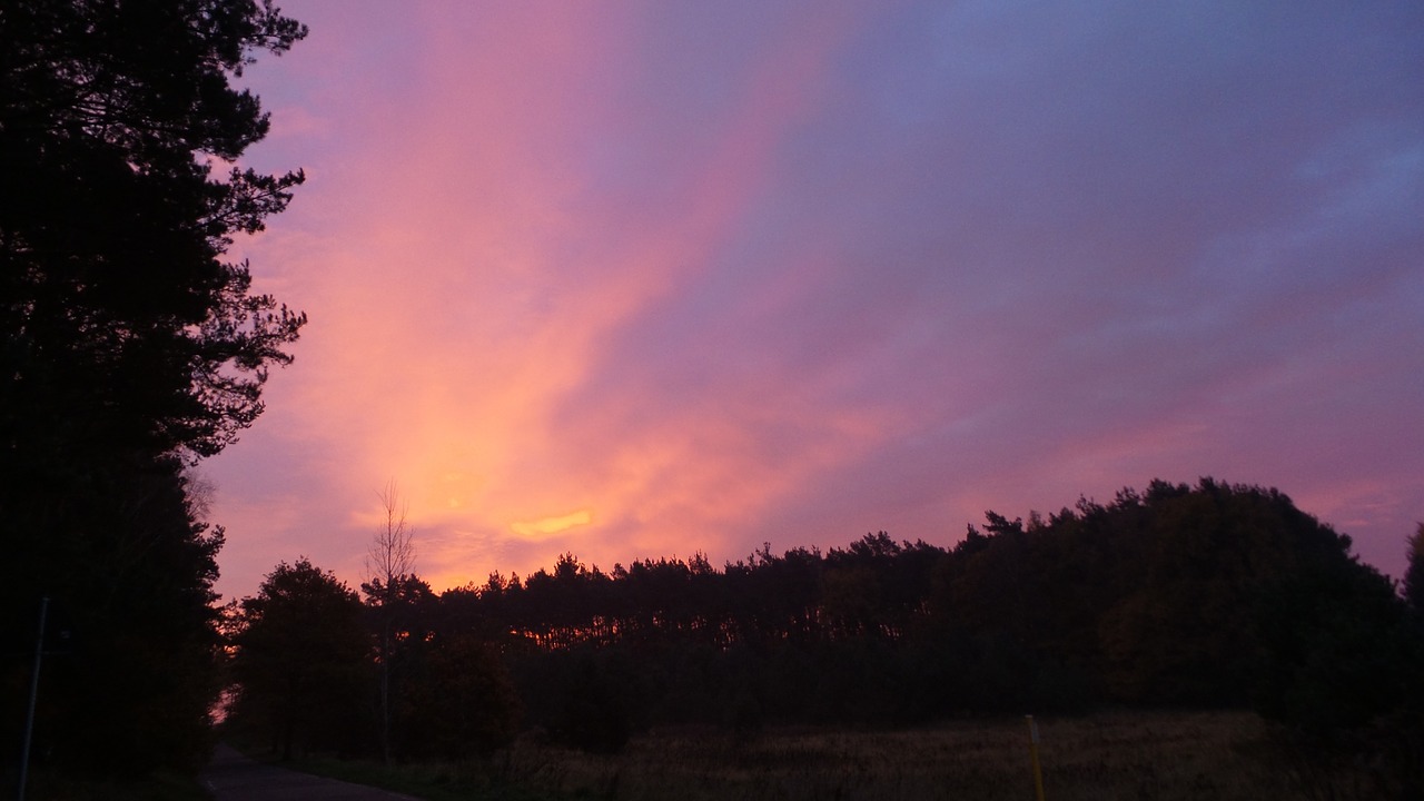 sunrise purple morgenstimmung free photo