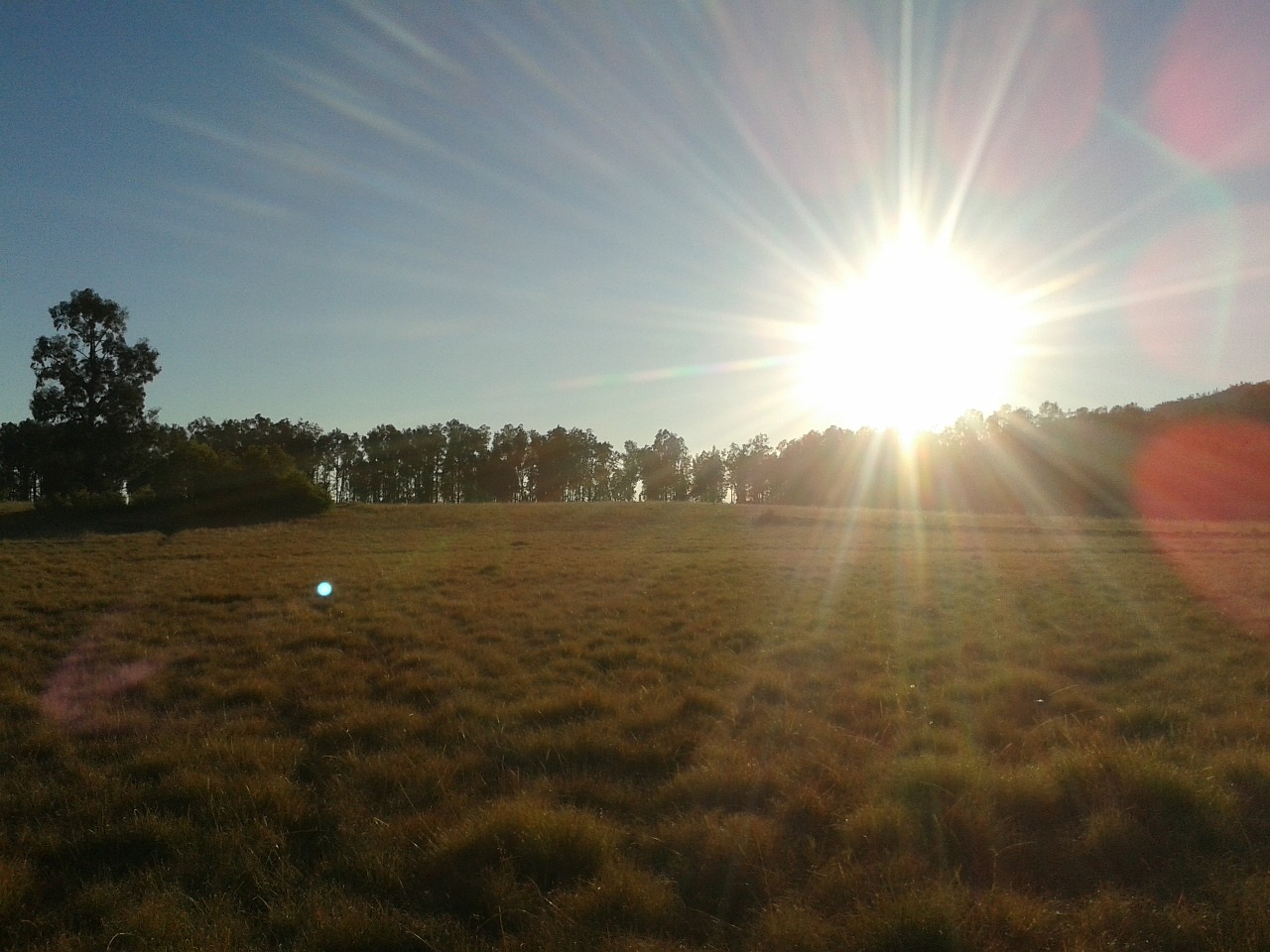 sunrise morning the meadow free photo