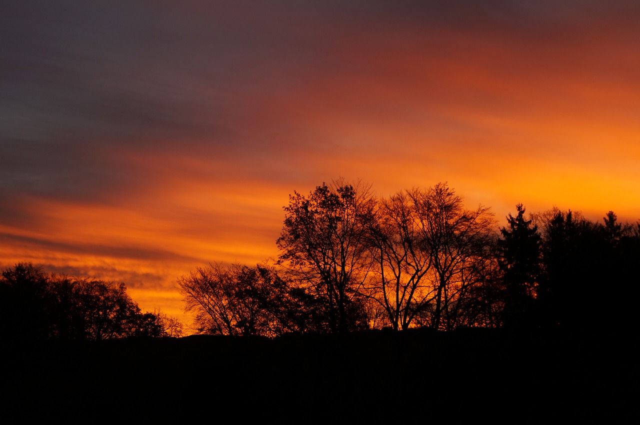 sunrise morgenrot skies free photo