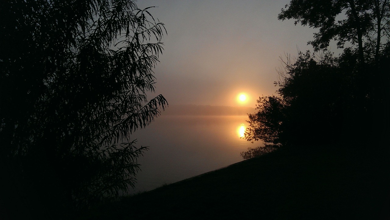 sunrise fog morning free photo