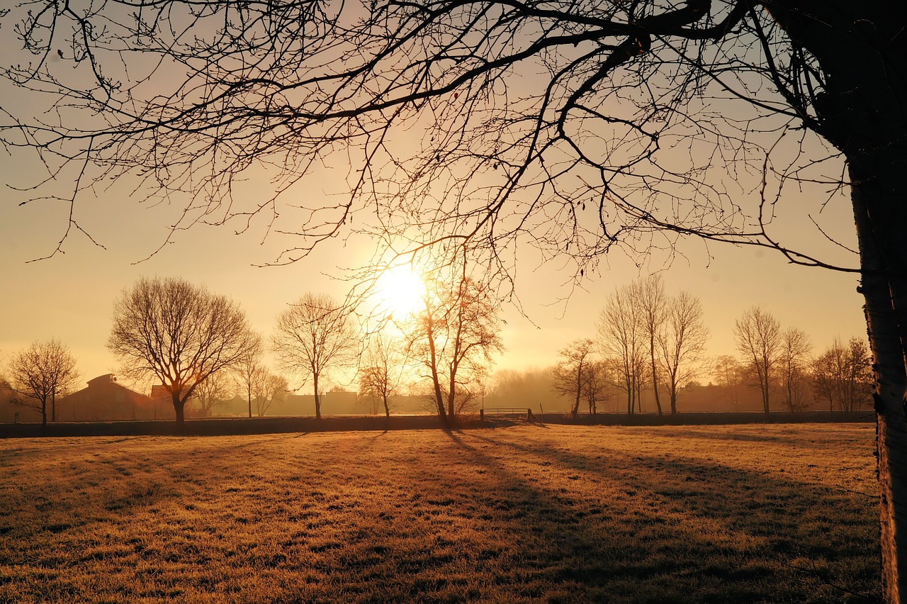 sunrise cold iced free photo