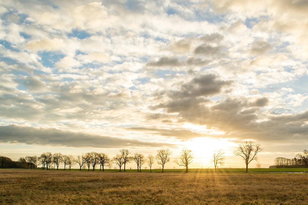 sunrise sun morning free photo