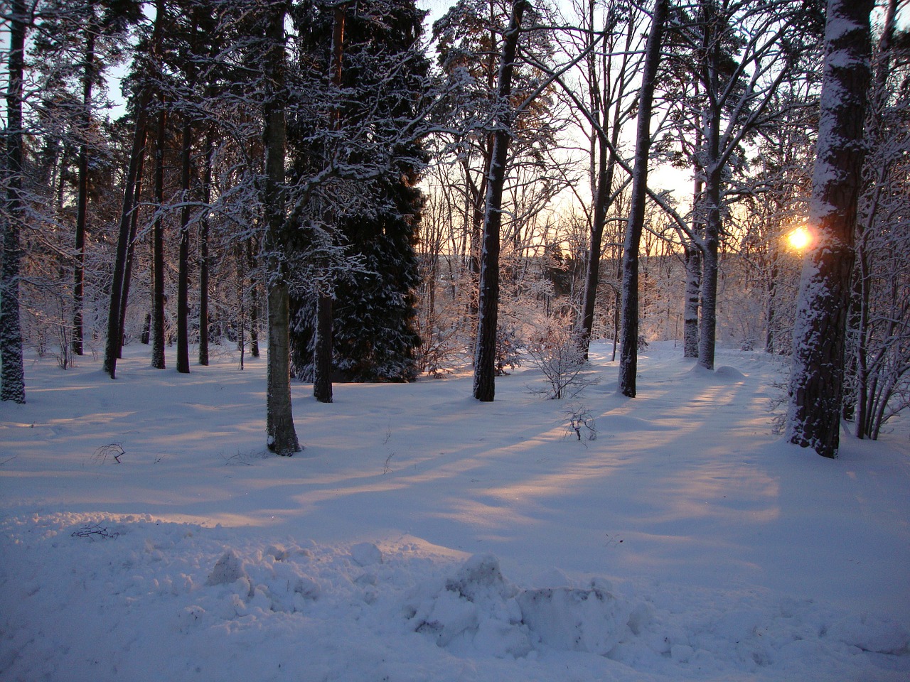 sunrise winter city park free photo