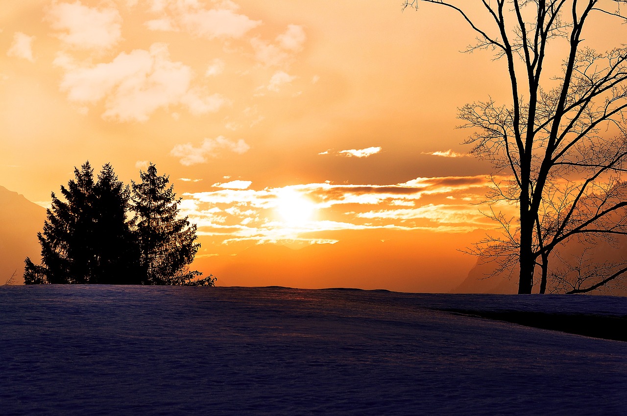 sunrise winter outlook free photo