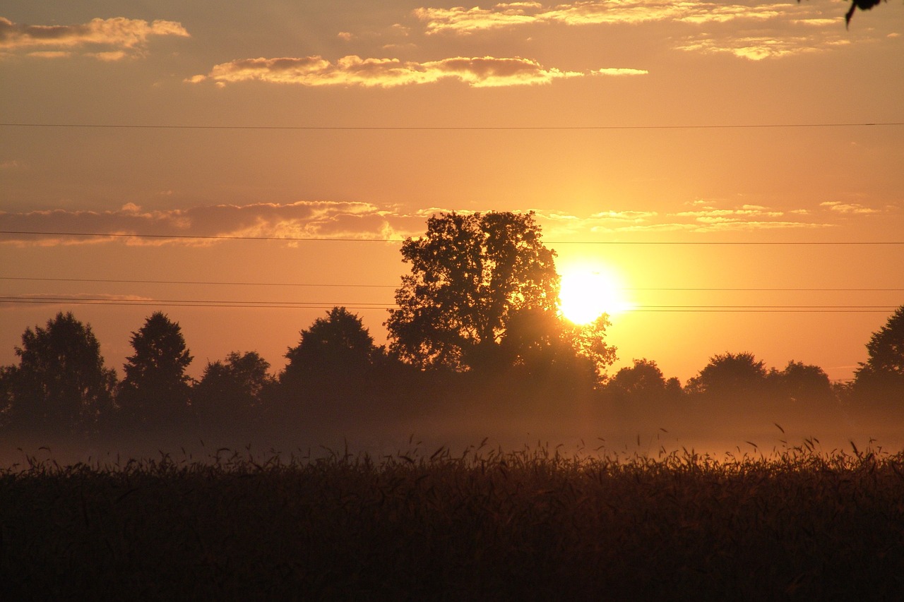 sunrise summer view free photo