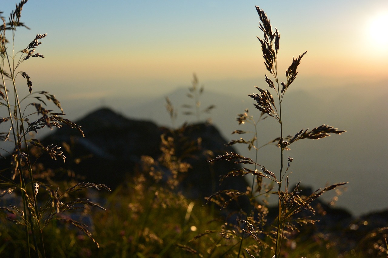 sunrise unterberg salzburg free photo