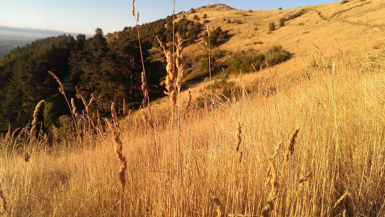 sunrise hay land free photo