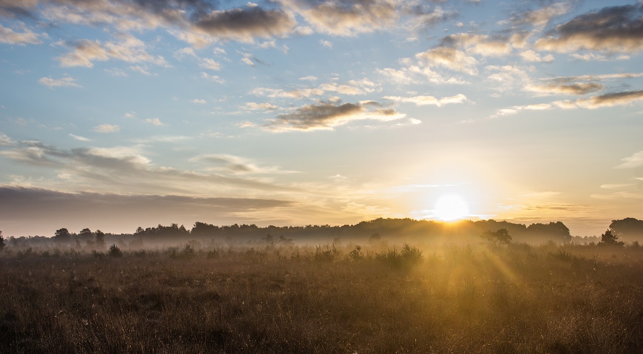 sunrise sun morning sun free photo