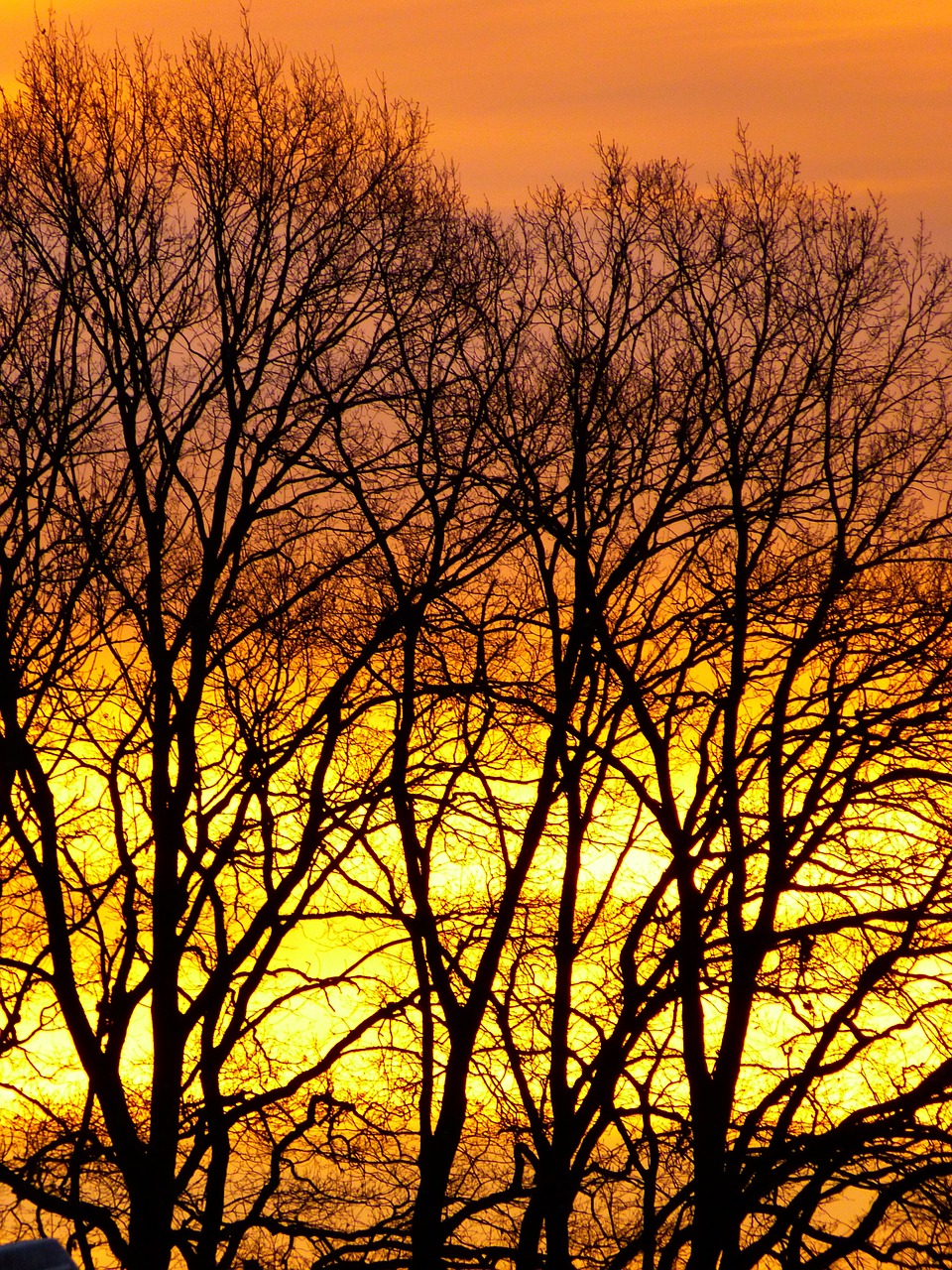 sunrise winter sunrise skies free photo