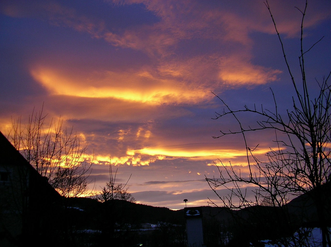 sunrise austria trees free photo