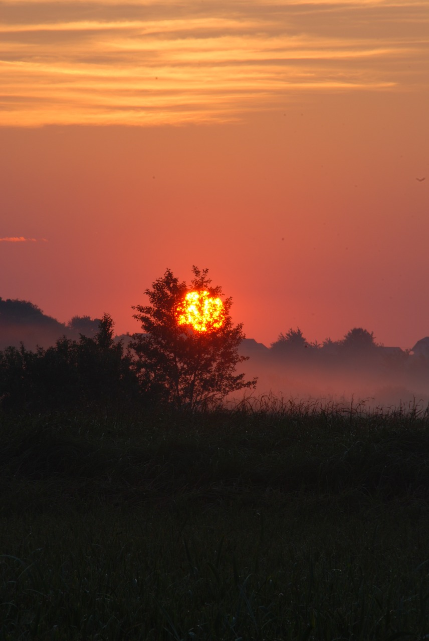 sunrise the fog landscape free photo