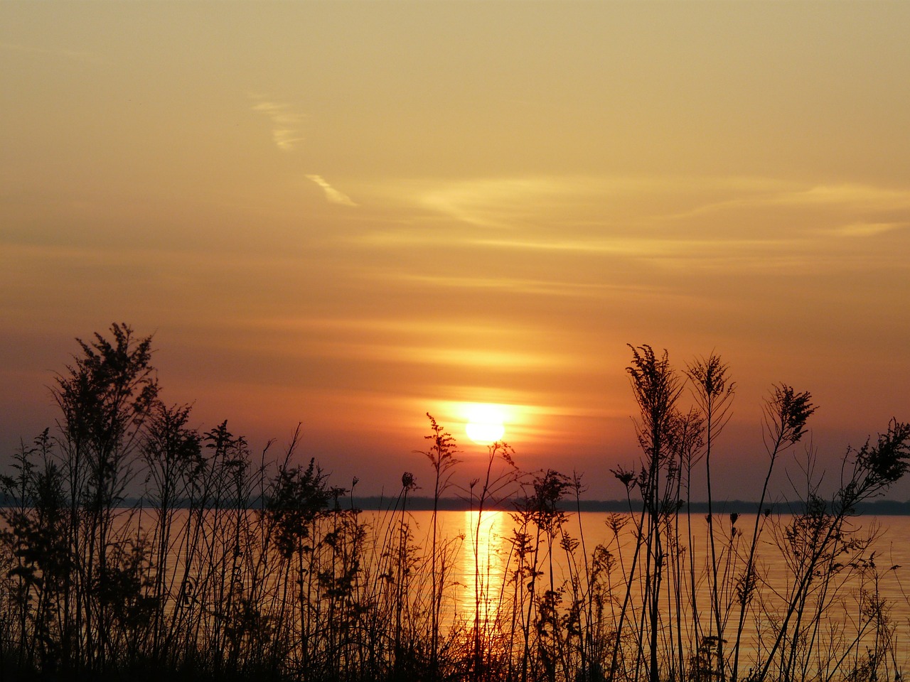sunrise lake golden free photo