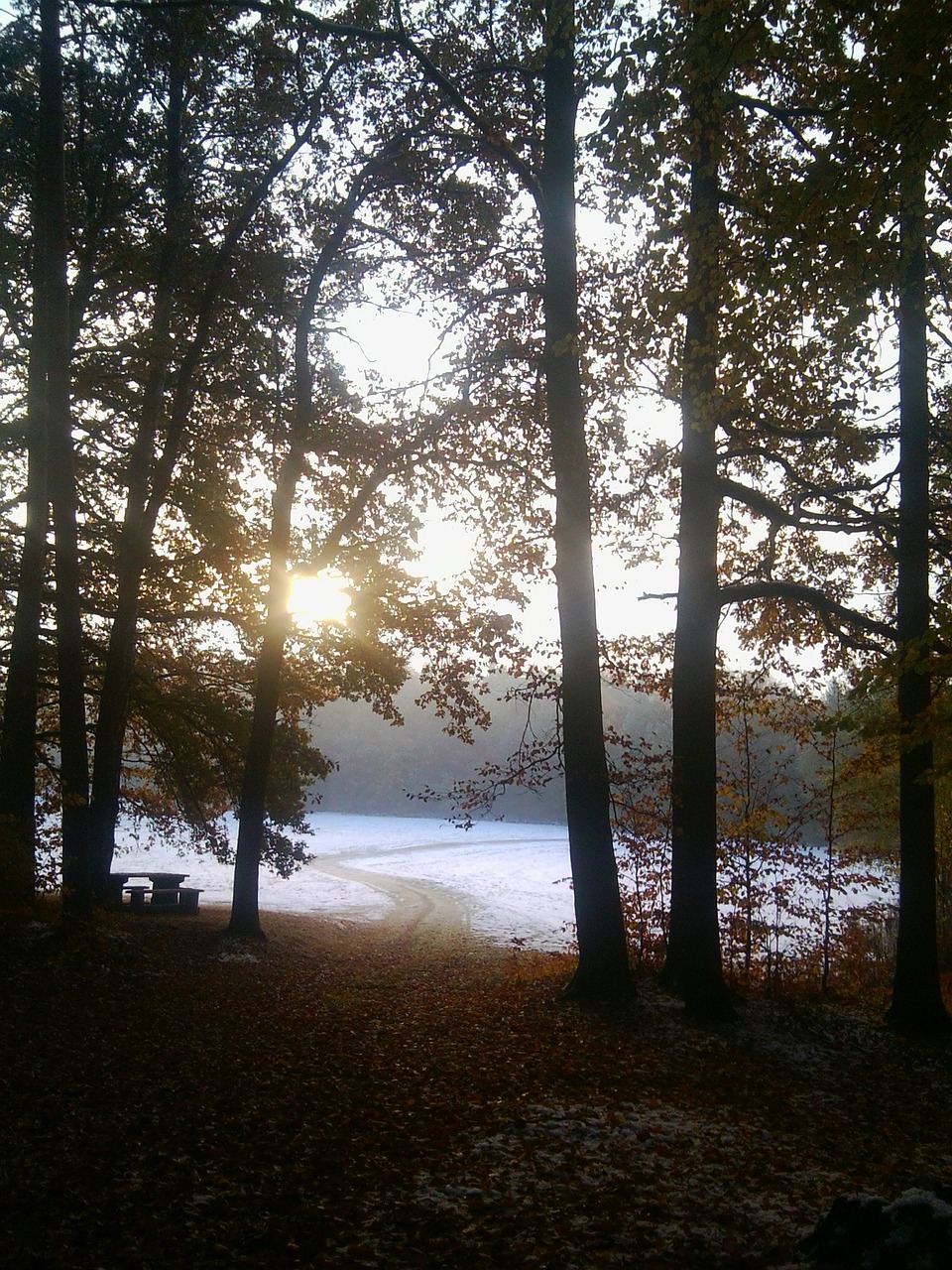 sunrise morgenstimmung landscape free photo