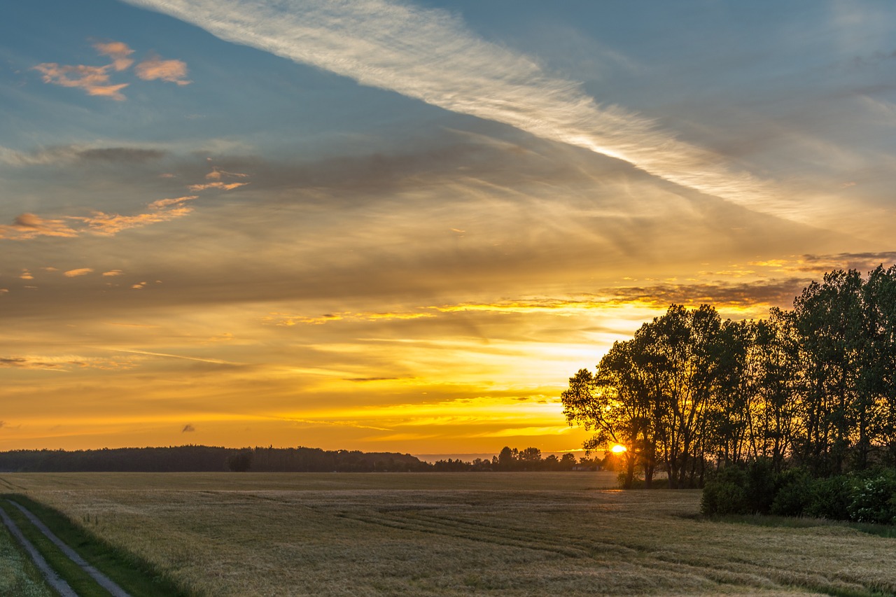 sunrise field nature free photo