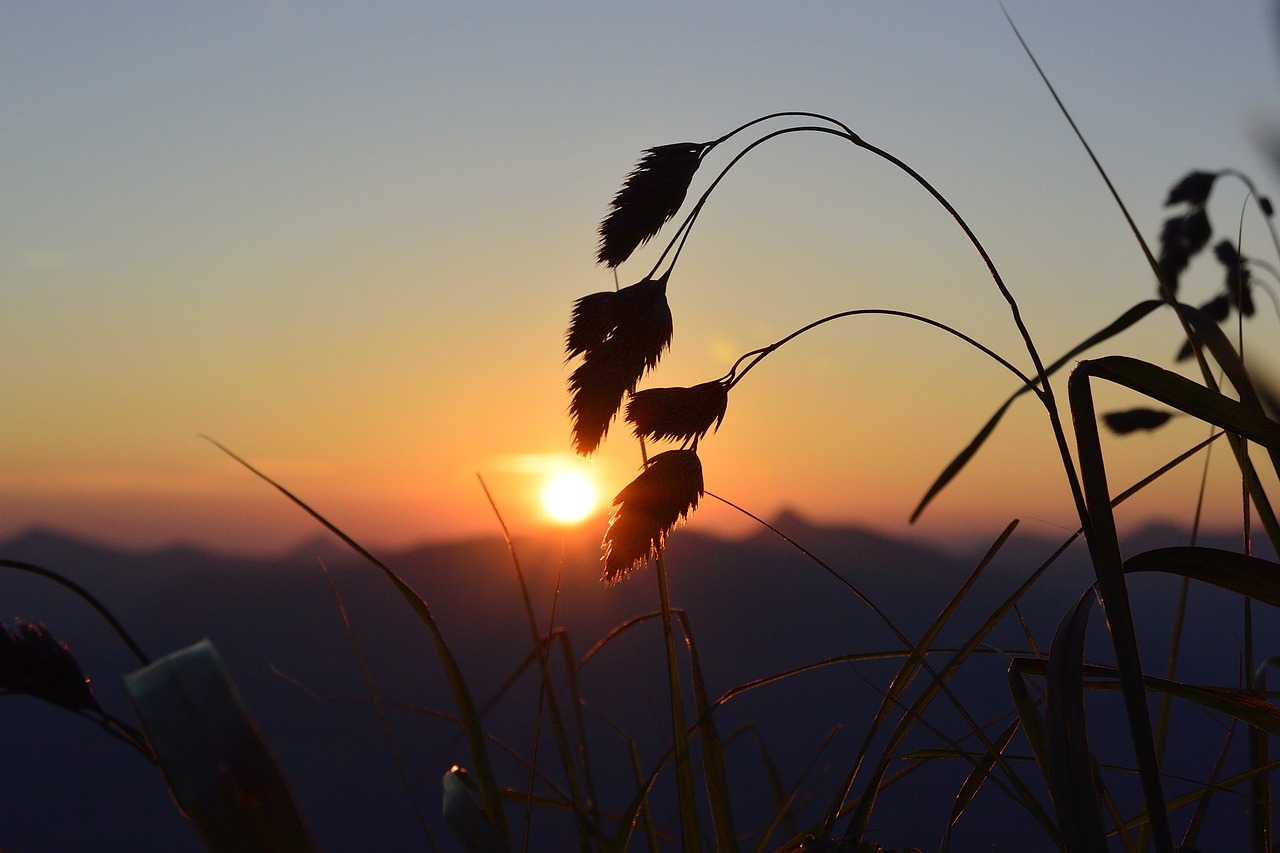 sunrise salzburg ross field free photo