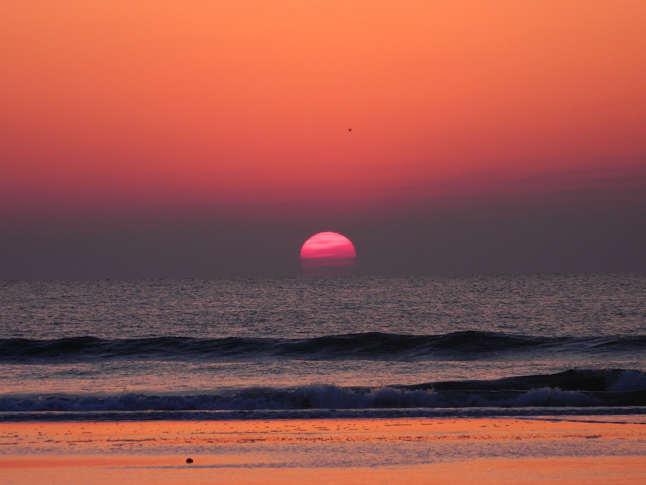 sunrise beach sky free photo