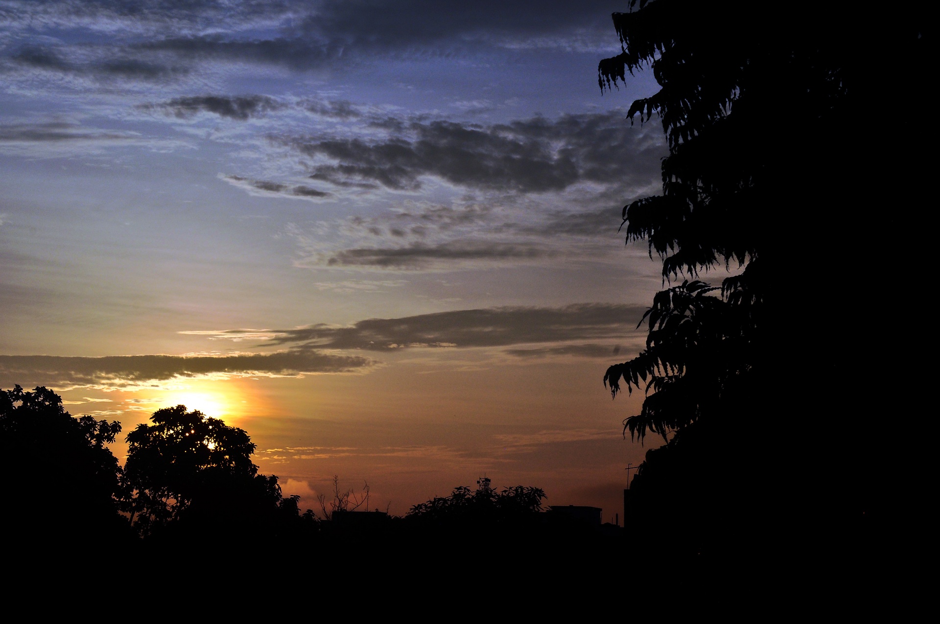 sun golden morning free photo