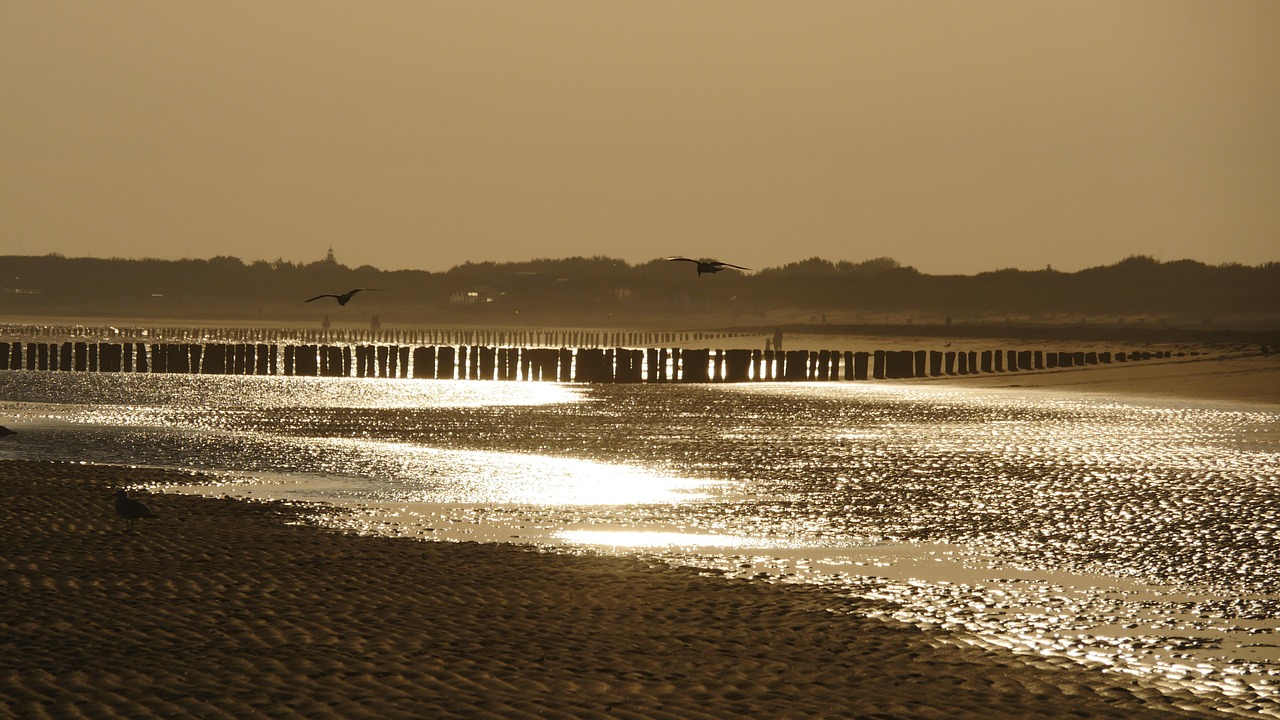 sunrise golden beach free photo