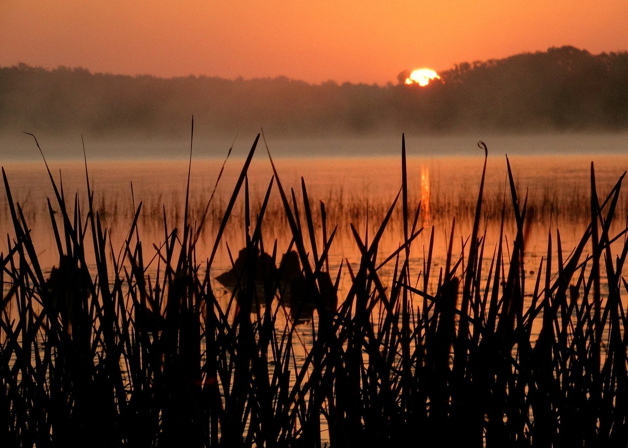 sunrise nature morning free photo