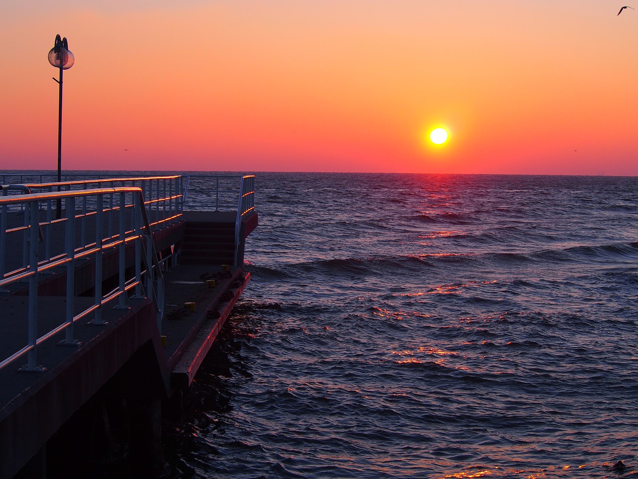 sunrise morning ocean free photo