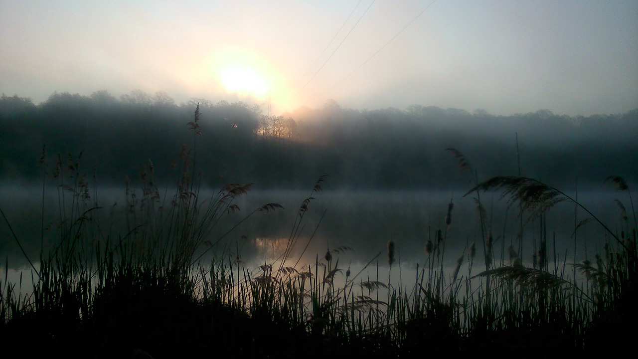 sunrise lake nature free photo