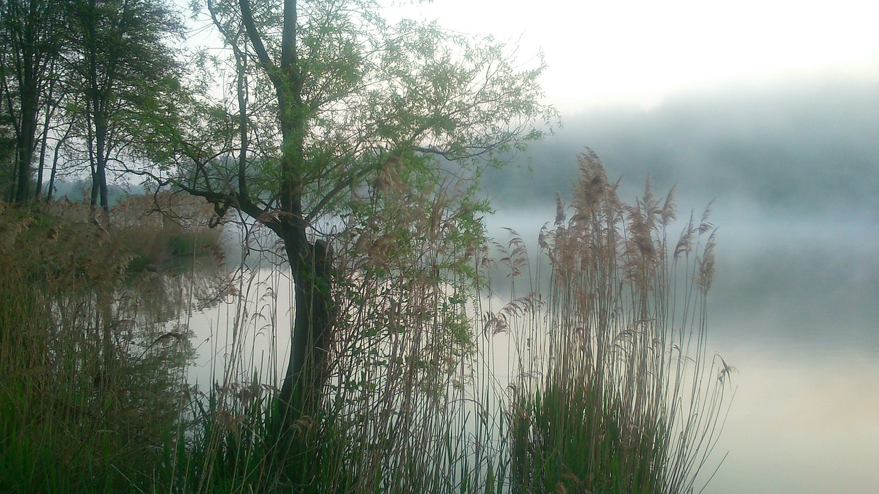 sunrise lake nature free photo