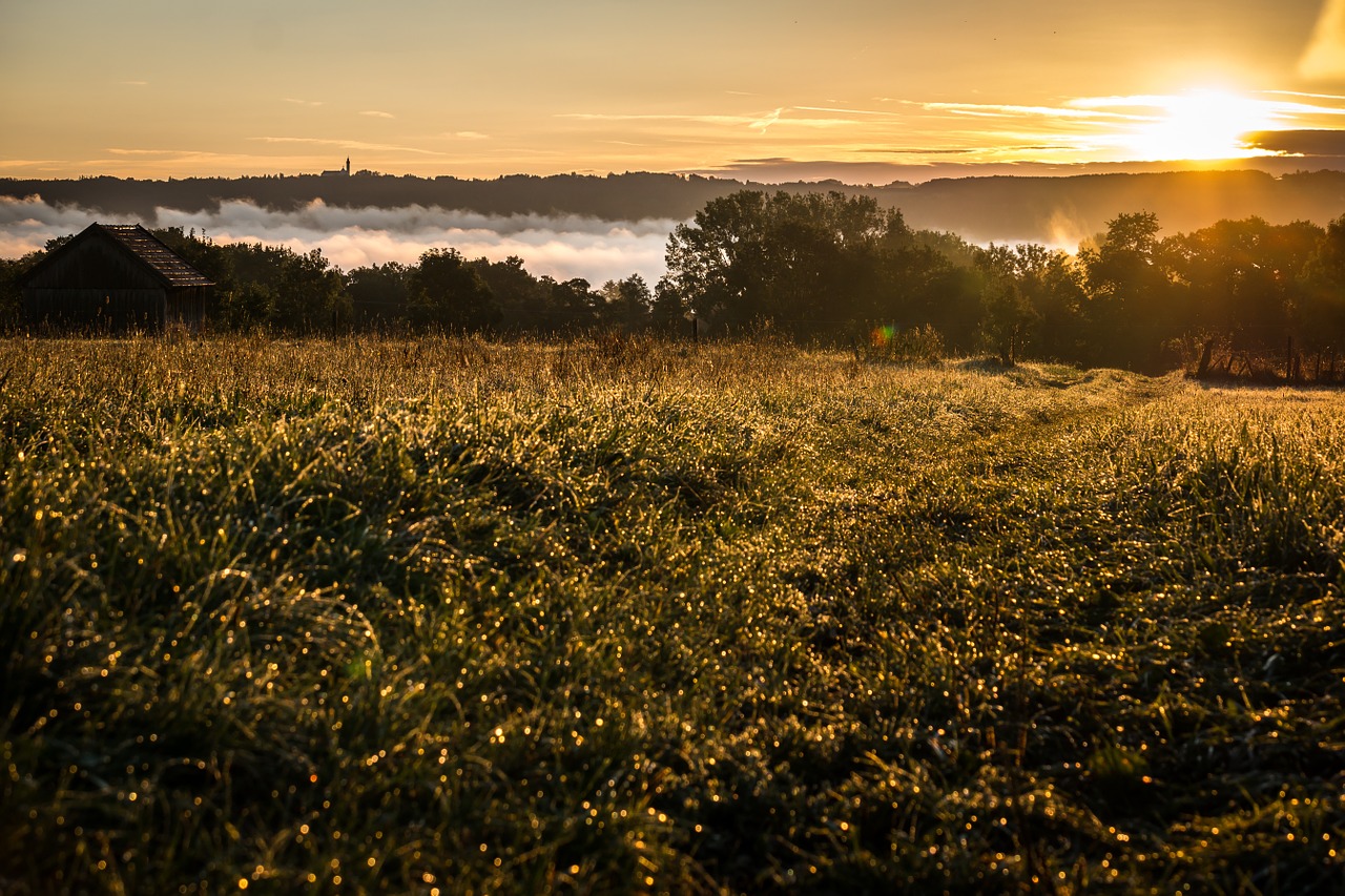 sunrise fog clouds free photo