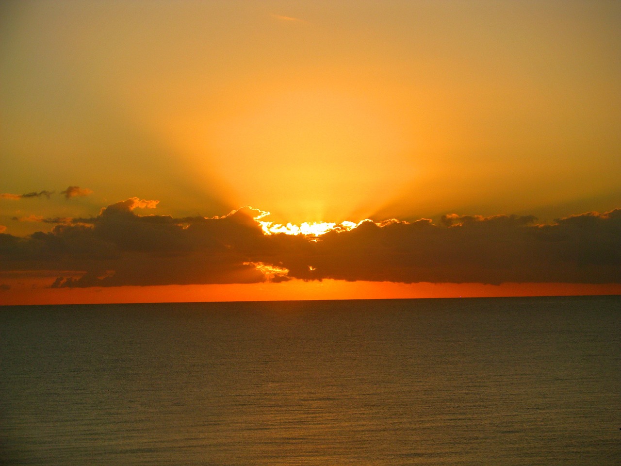 sunrise ocean holidays free photo