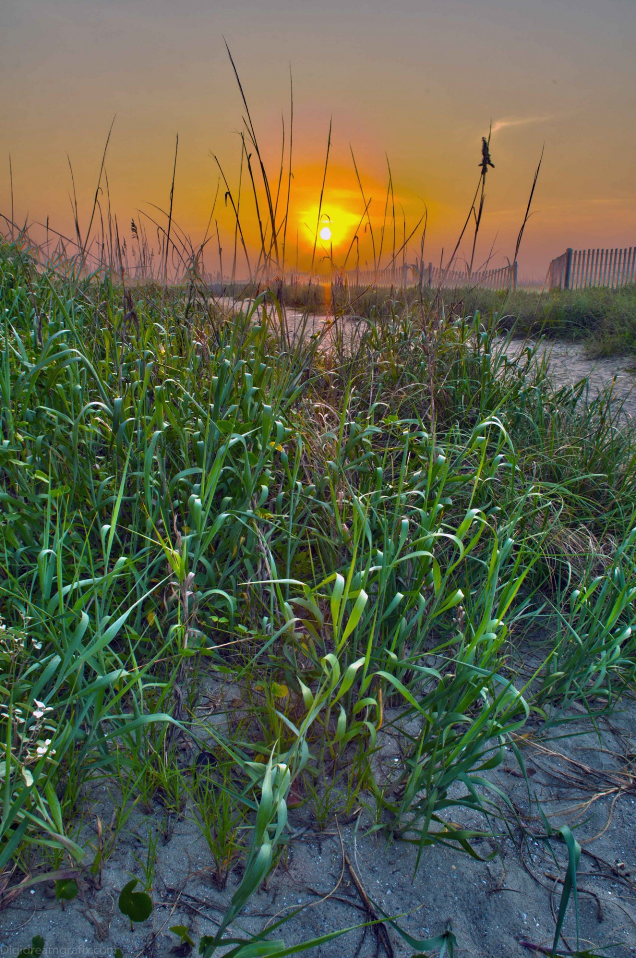 sunrise beach sunrise at the beach free photo