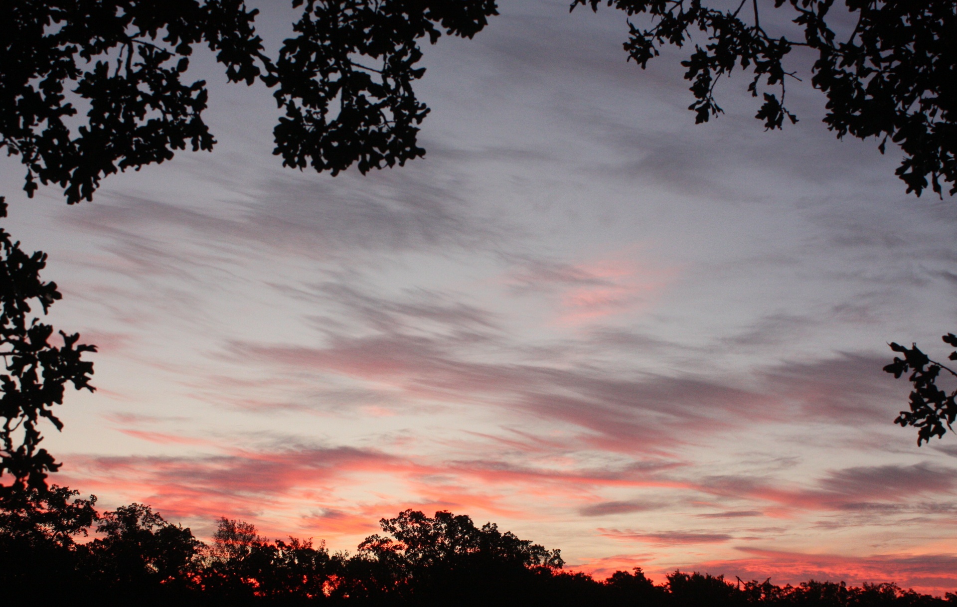 nature sunrise pink free photo