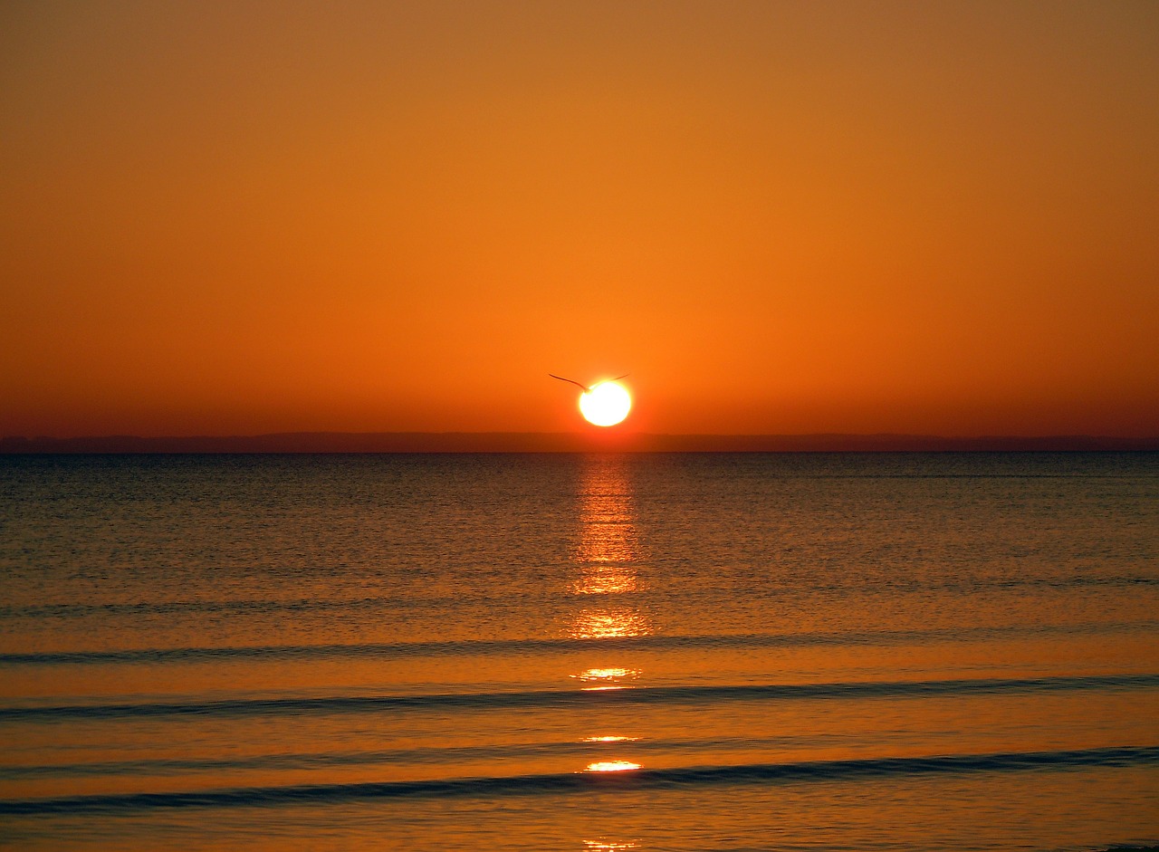 sunrise on the sea romantic mirroring free photo