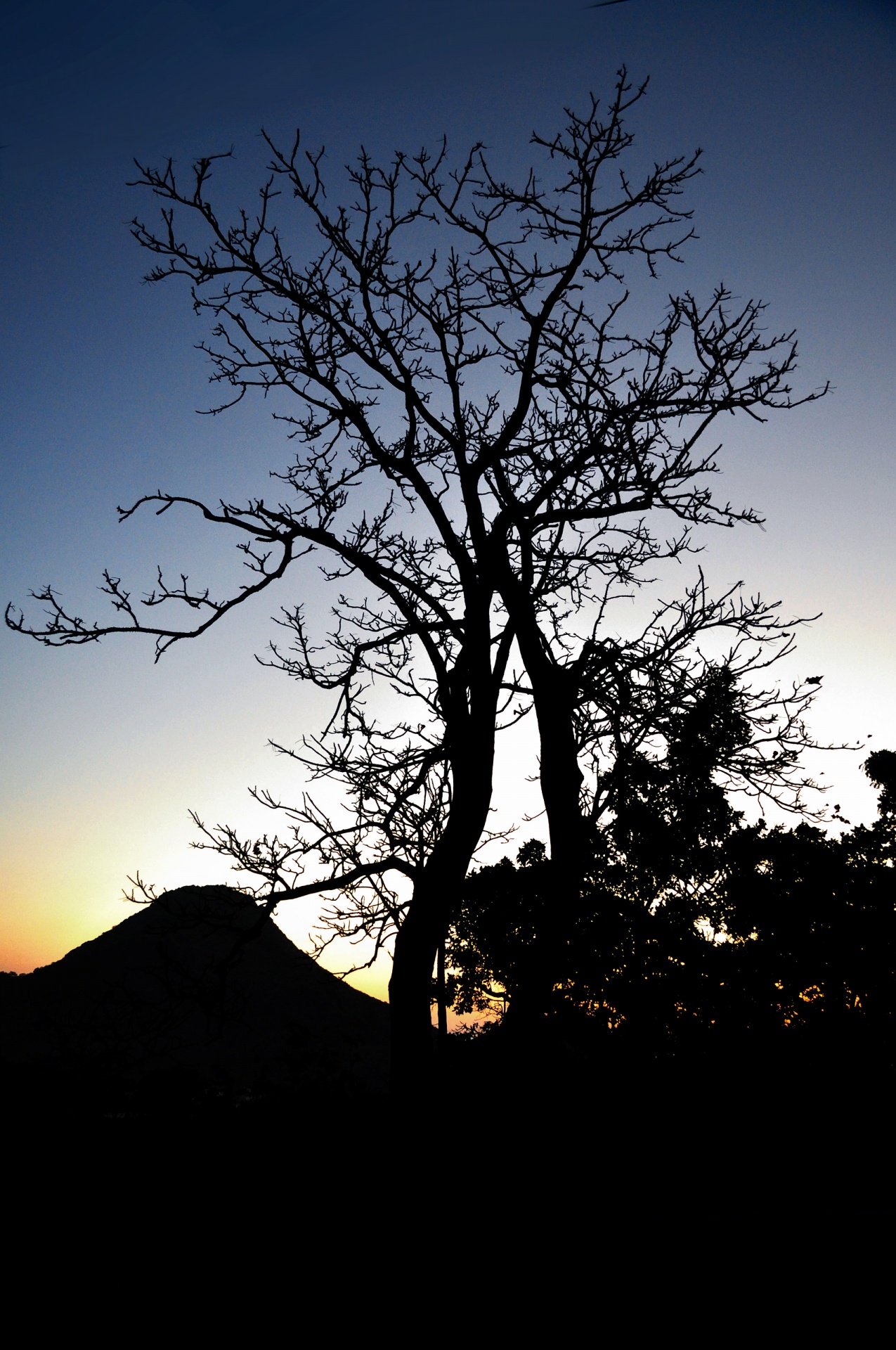 sunrise silhouette morning free photo