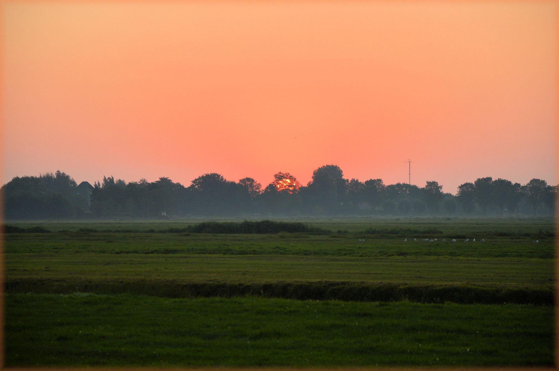 sun panorama nature free photo