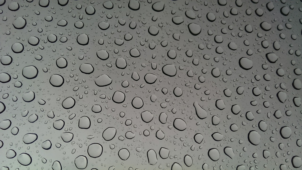 sunroof drops water free photo