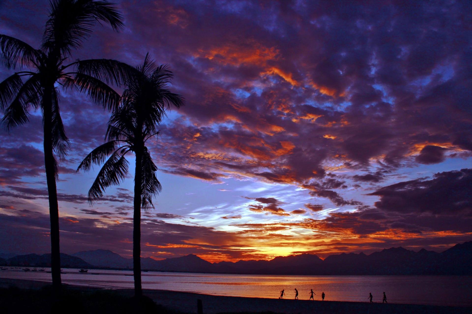 sunset sundown da nang bay free photo