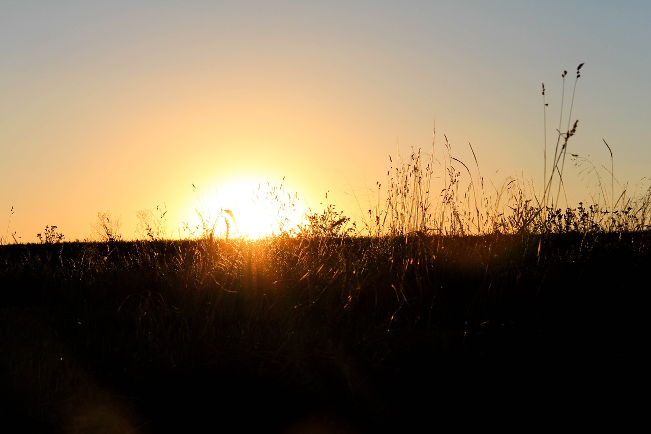 sunset nature sky free photo