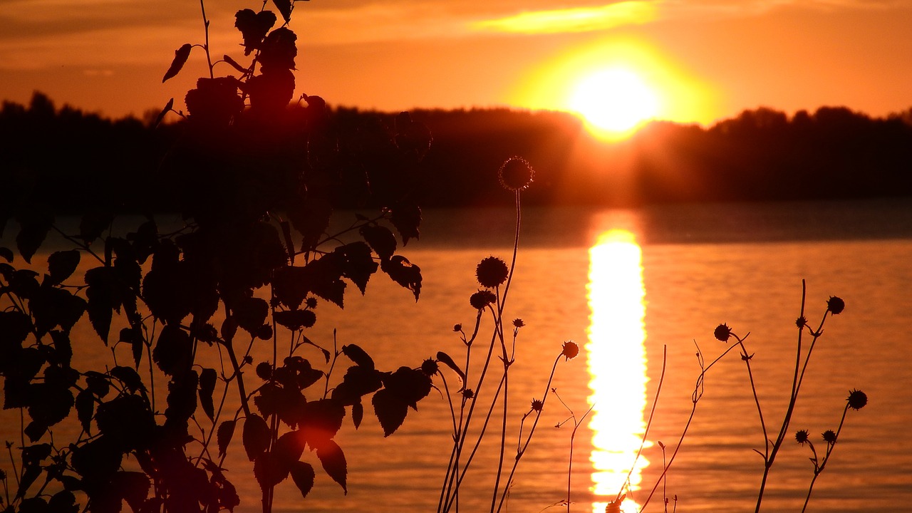 sunset lake pond free photo