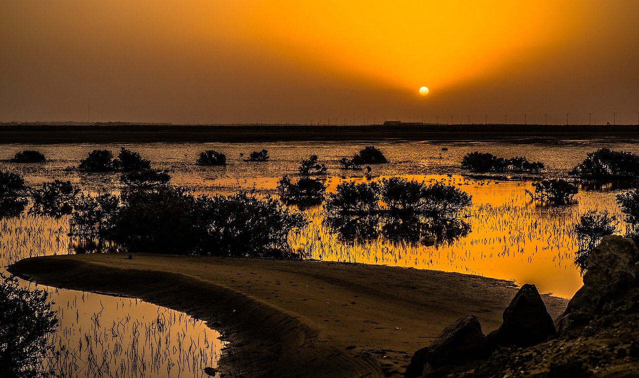 sunset horizon orb free photo